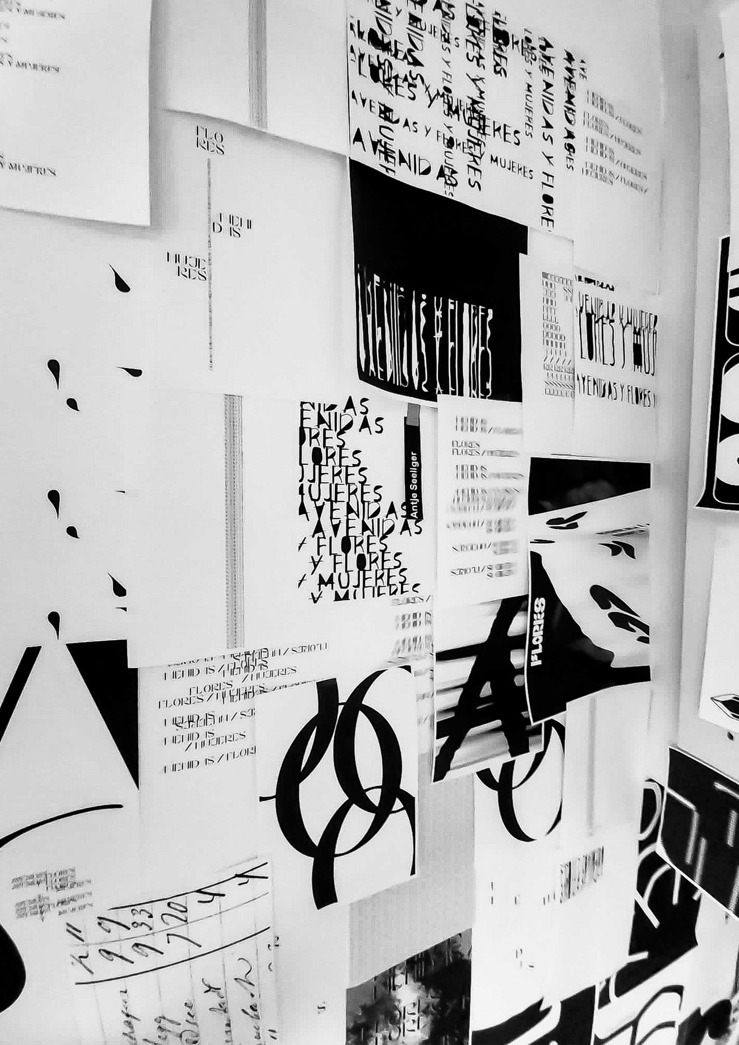 Foto der Ausstellung Typoflores